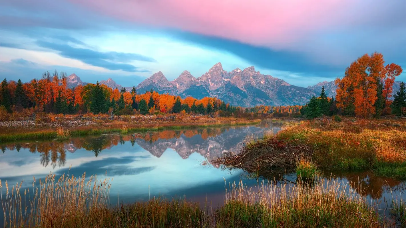 智能化创新独特